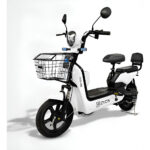 Moto Elétrica Zyon 500W Chumbo - White (65723)