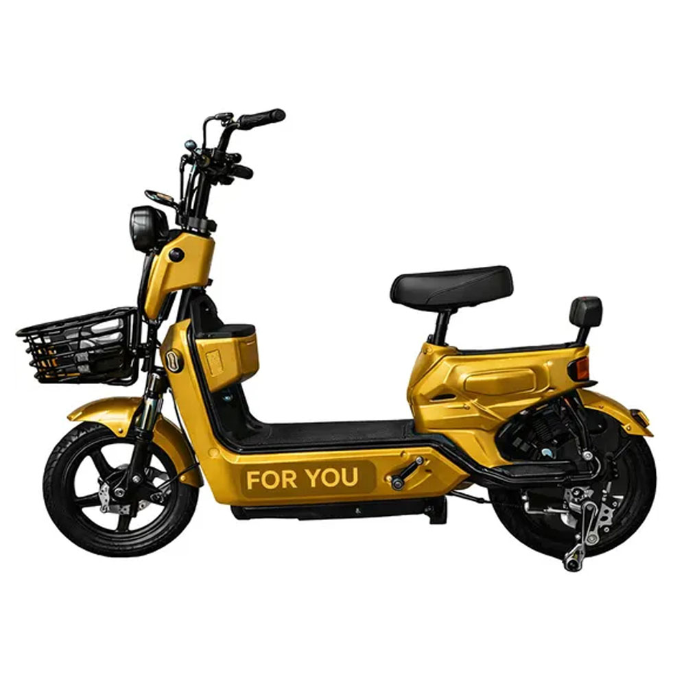 15563912356-gold-500w.jpg Moto Elétrica For You Bike Pro Gold - 500W - 45km/h Pro Litum (68149) - Imagem 1